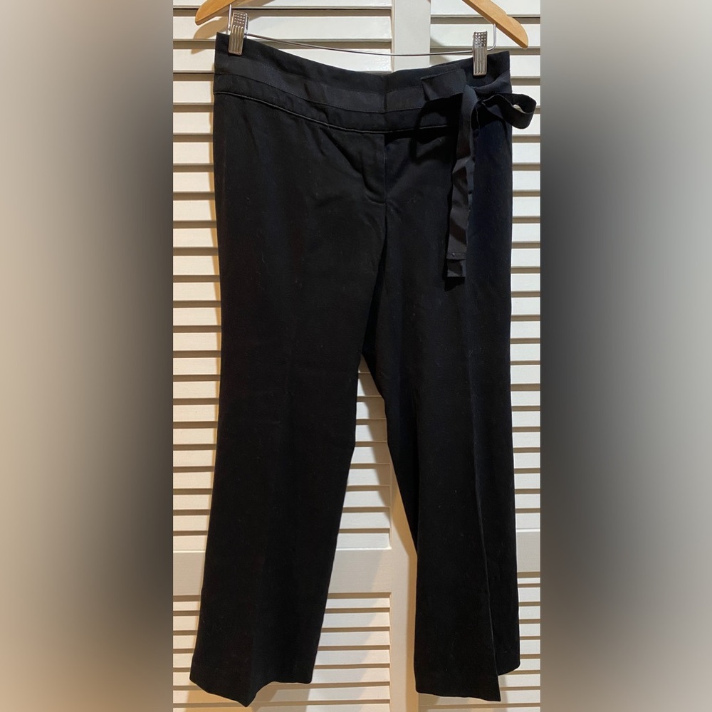 Banana Republic pants fully lined
